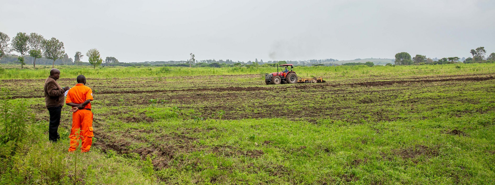 Hello Tractor: two people on the field