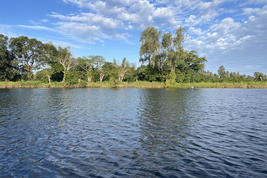 Tasty Tilapia: Fish Farming in Madagascar